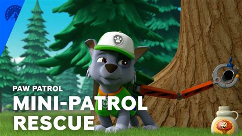 paw patrol torrentz|Paw patrol S6 onwards : r/torrentrequest .